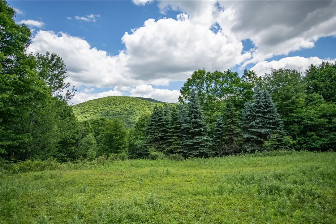 2393 East Brook Road, Walton, New York 13856, Walton, New York 13856, 2 Bedroom Bedrooms, 7 Room Rooms,1 BathroomBathrooms,Residential,For Sale,2393 East Brook Road, Walton, New York 13856,0,R1694632