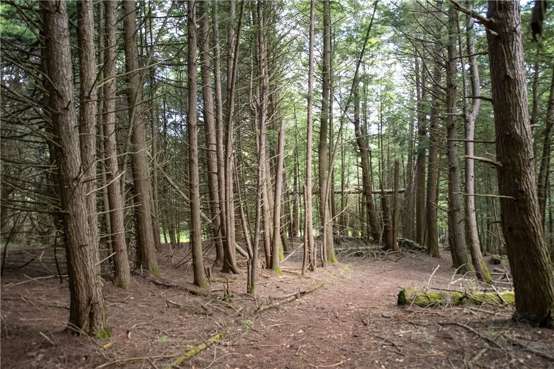 2393 East Brook Road, Walton, New York 13856, Walton, New York 13856, 2 Bedroom Bedrooms, 7 Room Rooms,1 BathroomBathrooms,Residential,For Sale,2393 East Brook Road, Walton, New York 13856,0,R1694632