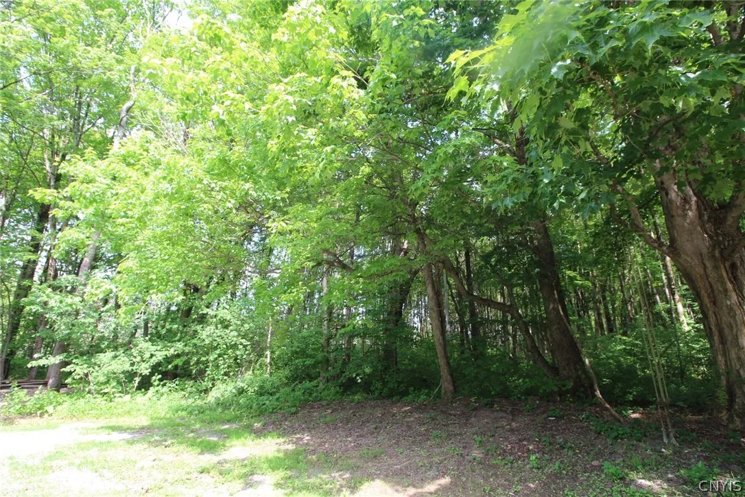376 County Route 22, Parish, New York 13131, Parish, New York 13131, 4 Bedrooms Bedrooms, 9 Rooms Rooms,2 BathroomsBathrooms,Residential,For Sale,376 County Route 22, Parish, New York 13131,0,S1677485