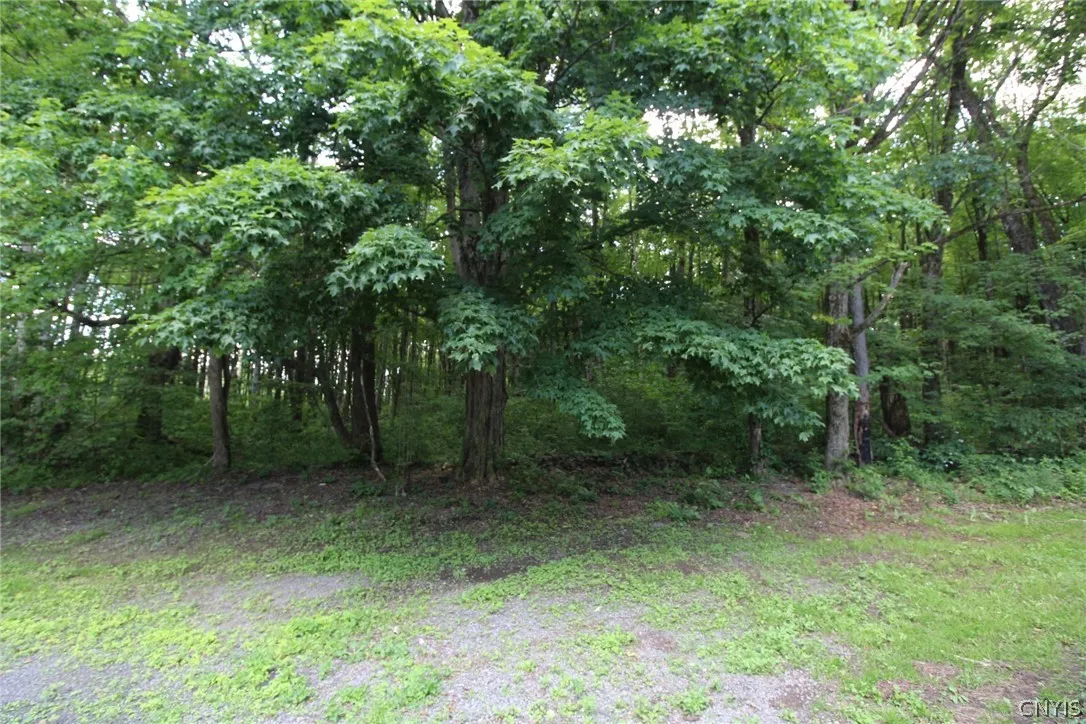 376 County Route 22, Parish, New York 13131, Parish, New York 13131, 4 Bedrooms Bedrooms, 9 Rooms Rooms,2 BathroomsBathrooms,Residential,For Sale,376 County Route 22, Parish, New York 13131,0,S1677485