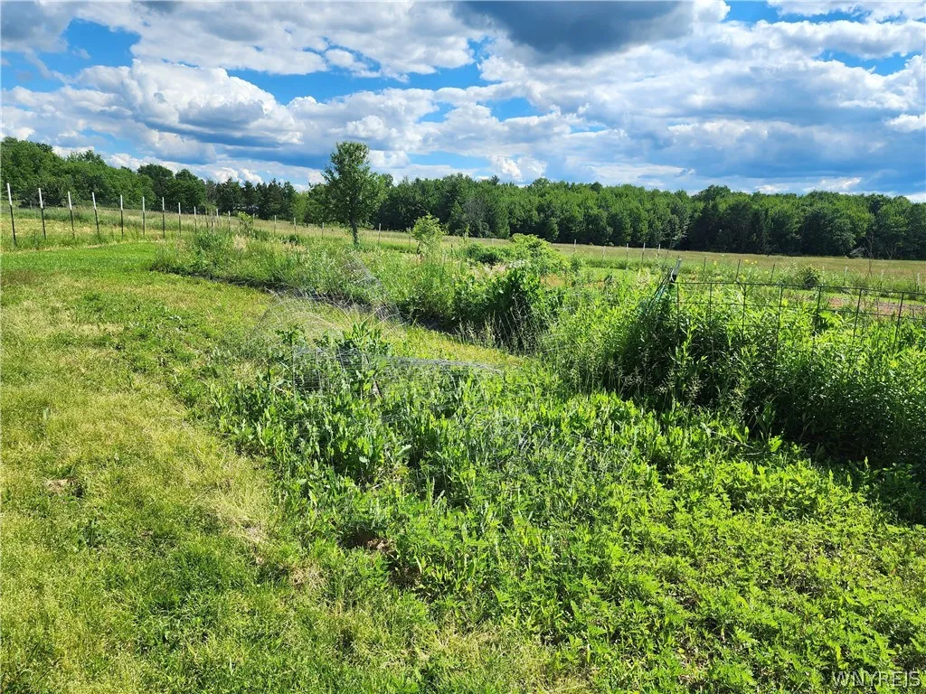 6097 Seufert Road, Orchard Park, New York 14127, Orchard Park, New York 14127, 3 Bedrooms Bedrooms, 10 Rooms Rooms,2 BathroomsBathrooms,Residential,For Sale,6097 Seufert Road, Orchard Park, New York 14127,0,B1697410