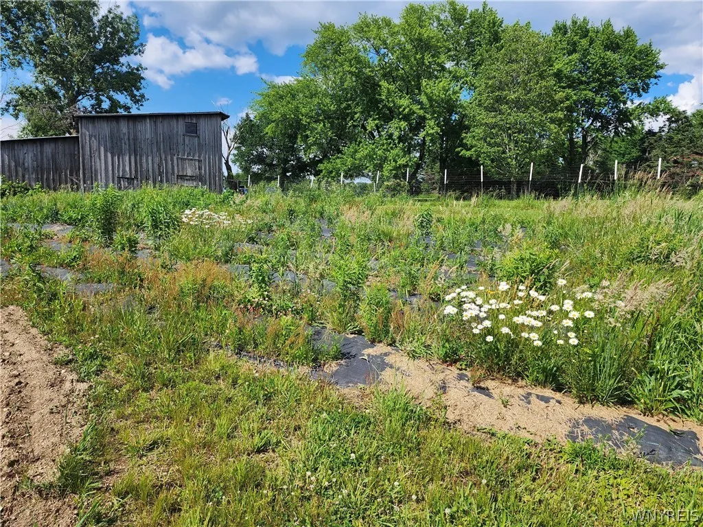 6097 Seufert Road, Orchard Park, New York 14127, Orchard Park, New York 14127, 3 Bedrooms Bedrooms, 10 Rooms Rooms,2 BathroomsBathrooms,Residential,For Sale,6097 Seufert Road, Orchard Park, New York 14127,0,B1697410