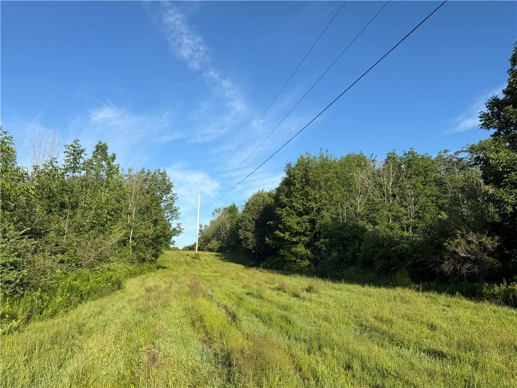 5153 County Route 10a, Cameron, New York 14819, Cameron, New York 14819, ,Land,For Sale,5153 County Route 10a, Cameron, New York 14819,0,R1697947