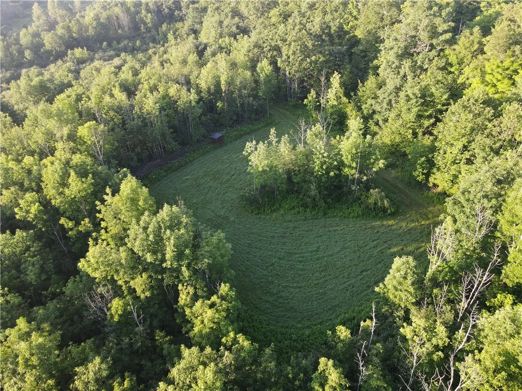 5153 County Route 10a, Cameron, New York 14819, Cameron, New York 14819, ,Land,For Sale,5153 County Route 10a, Cameron, New York 14819,0,R1697947