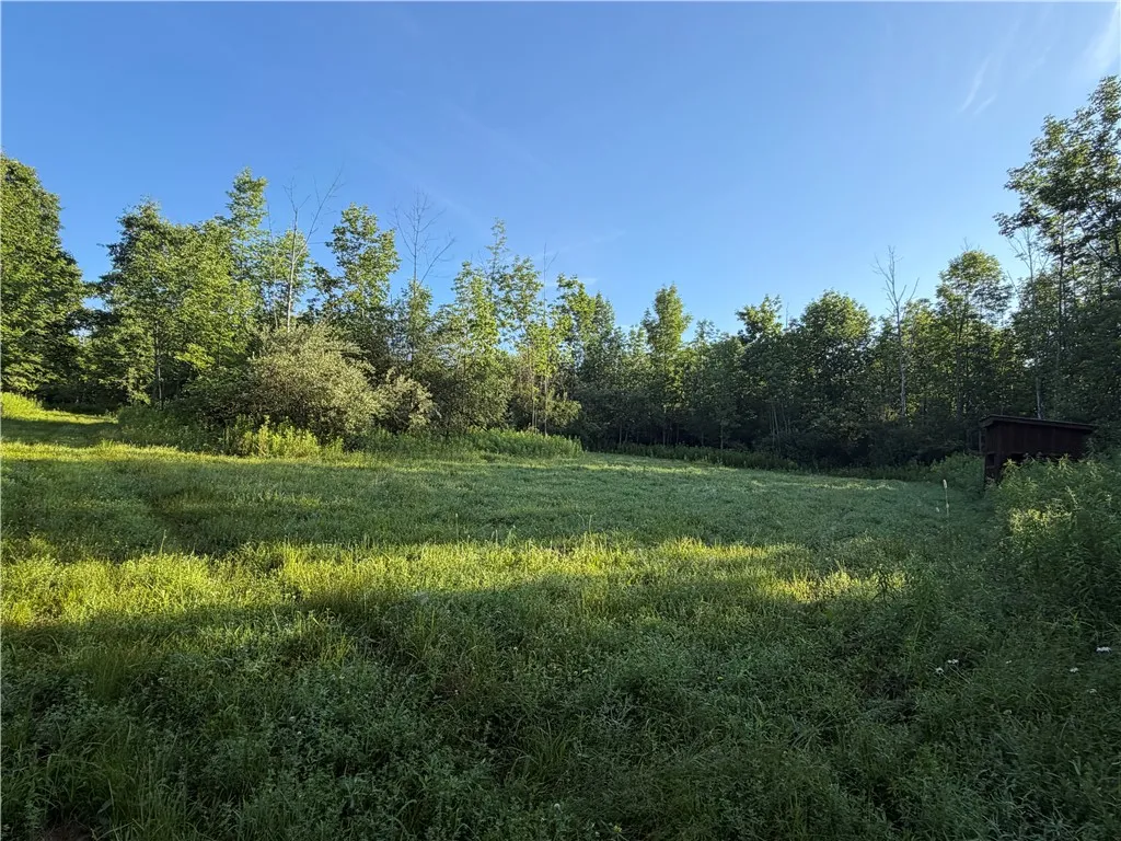 5153 County Route 10a, Cameron, New York 14819, Cameron, New York 14819, ,Land,For Sale,5153 County Route 10a, Cameron, New York 14819,0,R1697947