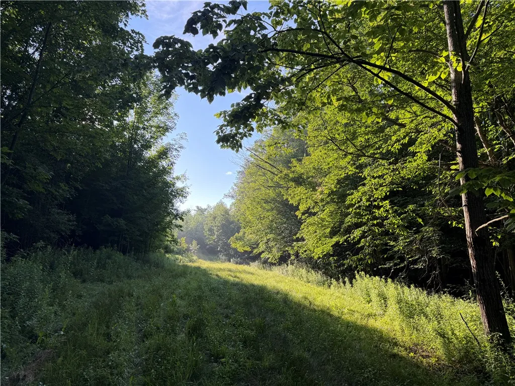 5153 County Route 10a, Cameron, New York 14819, Cameron, New York 14819, ,Land,For Sale,5153 County Route 10a, Cameron, New York 14819,0,R1697947