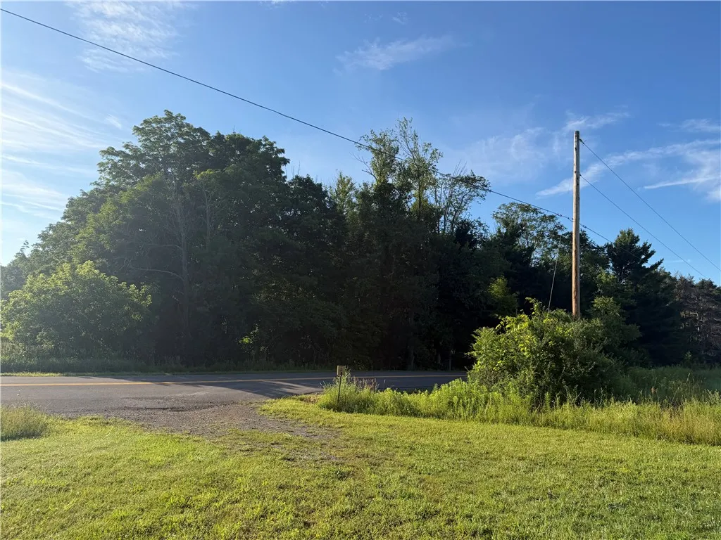 5153 County Route 10a, Cameron, New York 14819, Cameron, New York 14819, ,Land,For Sale,5153 County Route 10a, Cameron, New York 14819,0,R1697947