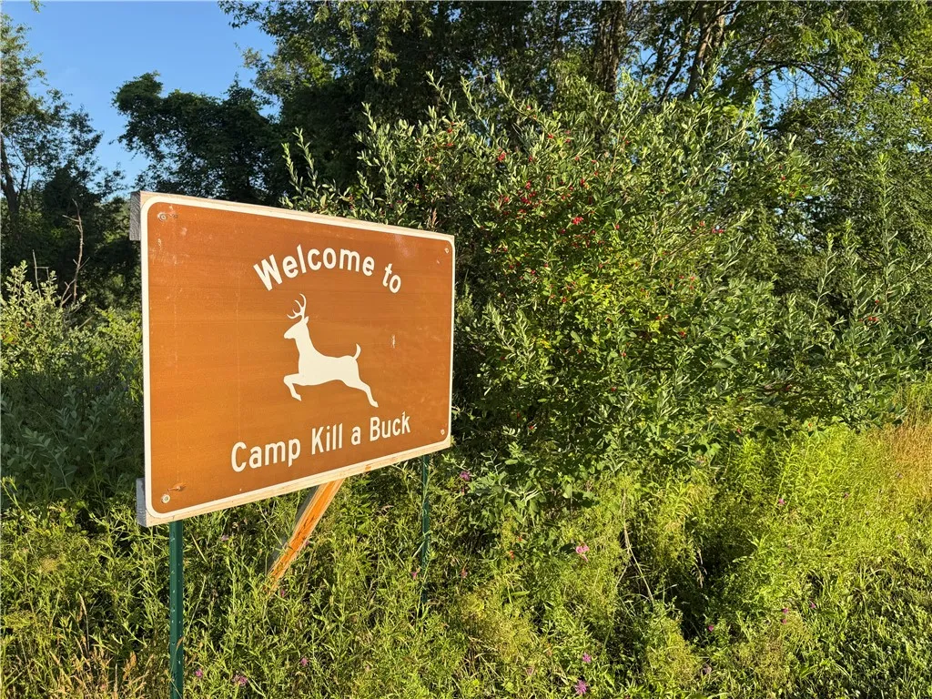 5153 County Route 10a, Cameron, New York 14819, Cameron, New York 14819, ,Land,For Sale,5153 County Route 10a, Cameron, New York 14819,0,R1697947
