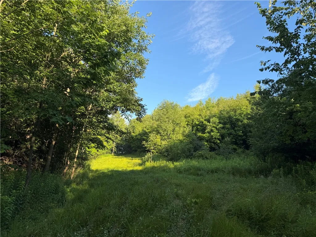 5153 County Route 10a, Cameron, New York 14819, Cameron, New York 14819, ,Land,For Sale,5153 County Route 10a, Cameron, New York 14819,0,R1697947