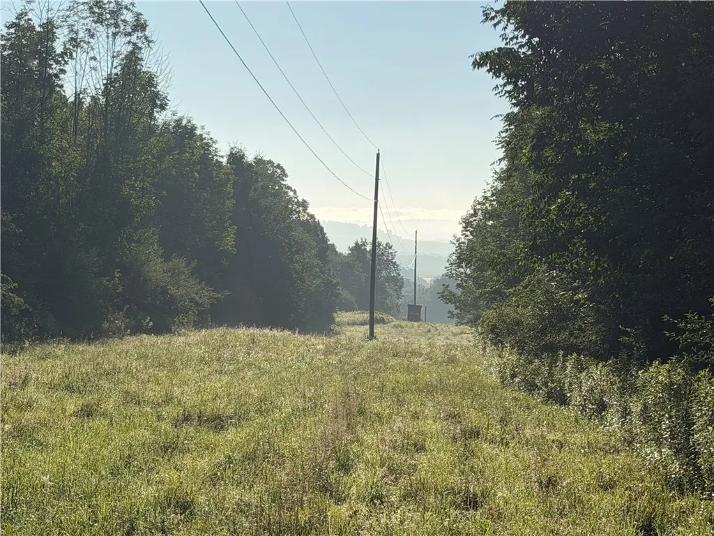 5153 County Route 10a, Cameron, New York 14819, Cameron, New York 14819, ,Land,For Sale,5153 County Route 10a, Cameron, New York 14819,0,R1697947