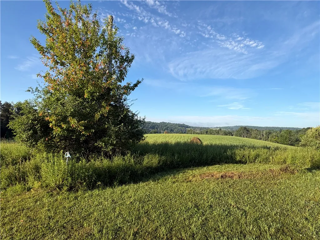 5153 County Route 10a, Cameron, New York 14819, Cameron, New York 14819, ,Land,For Sale,5153 County Route 10a, Cameron, New York 14819,0,R1697947