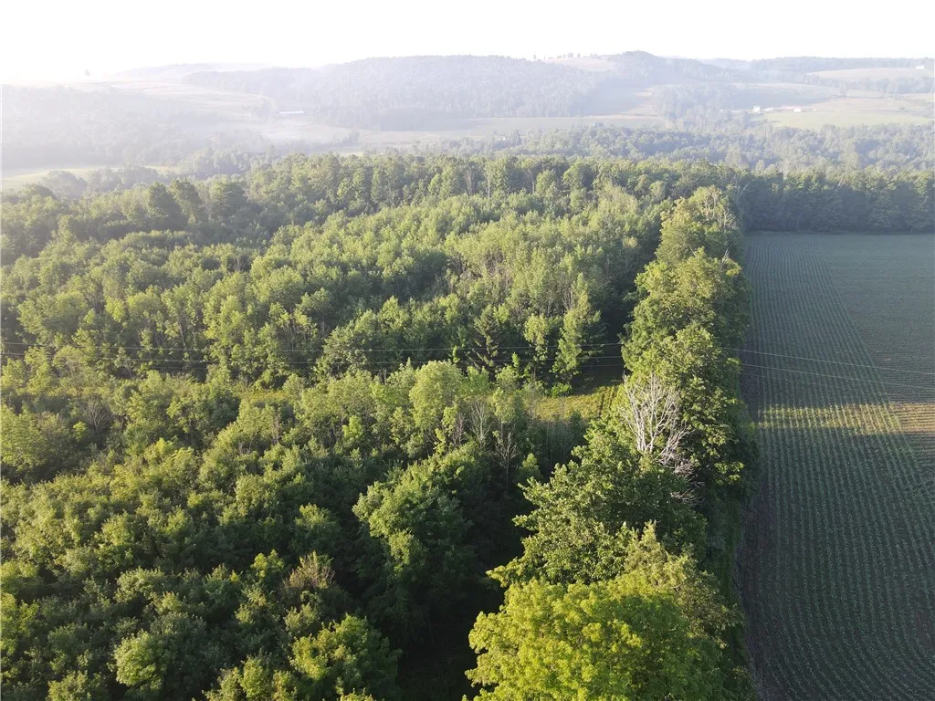 5153 County Route 10a, Cameron, New York 14819, Cameron, New York 14819, ,Land,For Sale,5153 County Route 10a, Cameron, New York 14819,0,R1697947