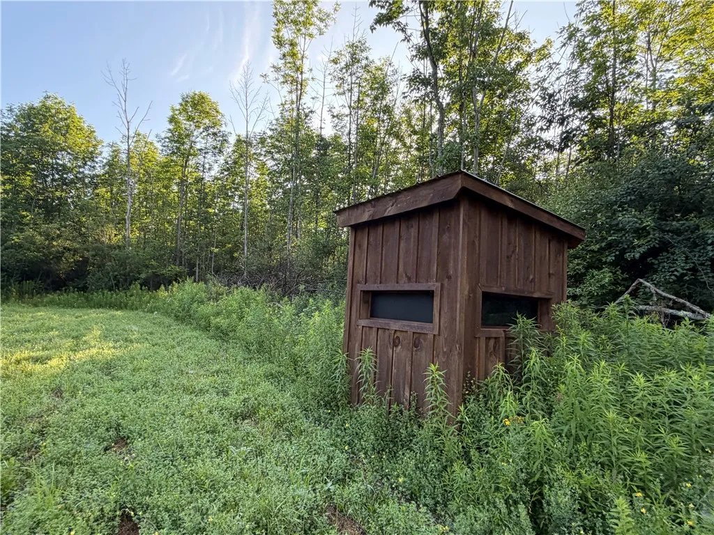 5153 County Route 10a, Cameron, New York 14819, Cameron, New York 14819, ,Land,For Sale,5153 County Route 10a, Cameron, New York 14819,0,R1697947