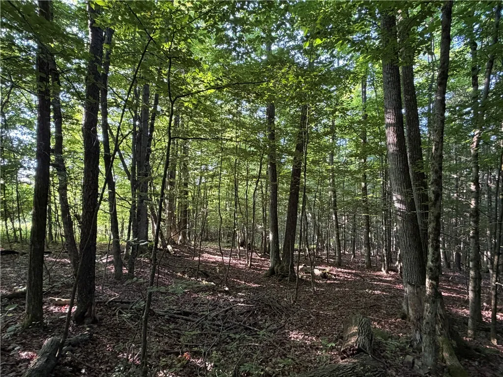 5153 County Route 10a, Cameron, New York 14819, Cameron, New York 14819, ,Land,For Sale,5153 County Route 10a, Cameron, New York 14819,0,R1697947