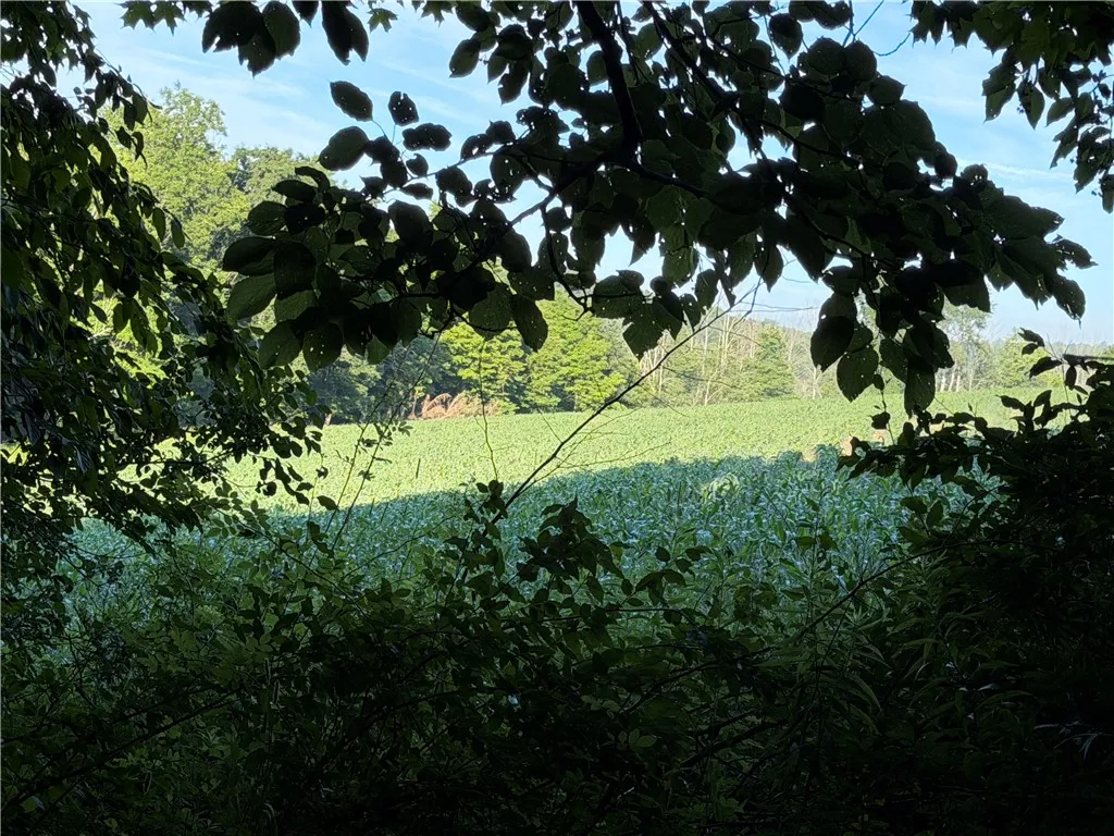 5153 County Route 10a, Cameron, New York 14819, Cameron, New York 14819, ,Land,For Sale,5153 County Route 10a, Cameron, New York 14819,0,R1697947