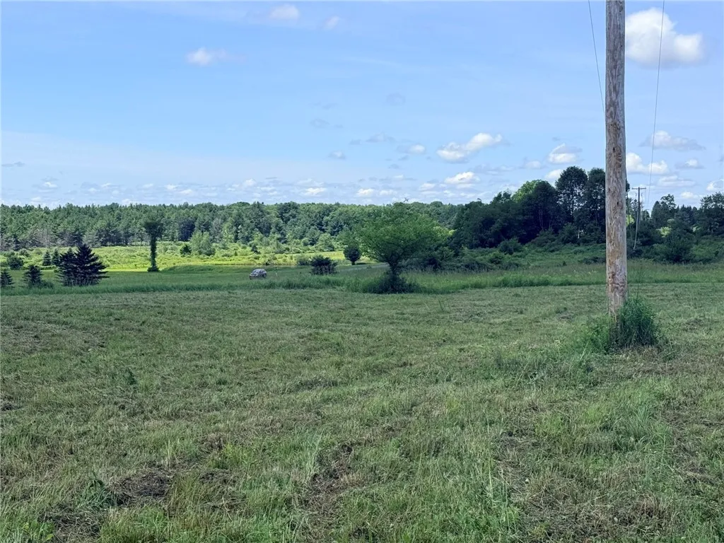 L17 North Pond Road, Guilford, New York 13780, Guilford, New York 13780, ,Land,For Sale,L17 North Pond Road, Guilford, New York 13780,0,R1697936
