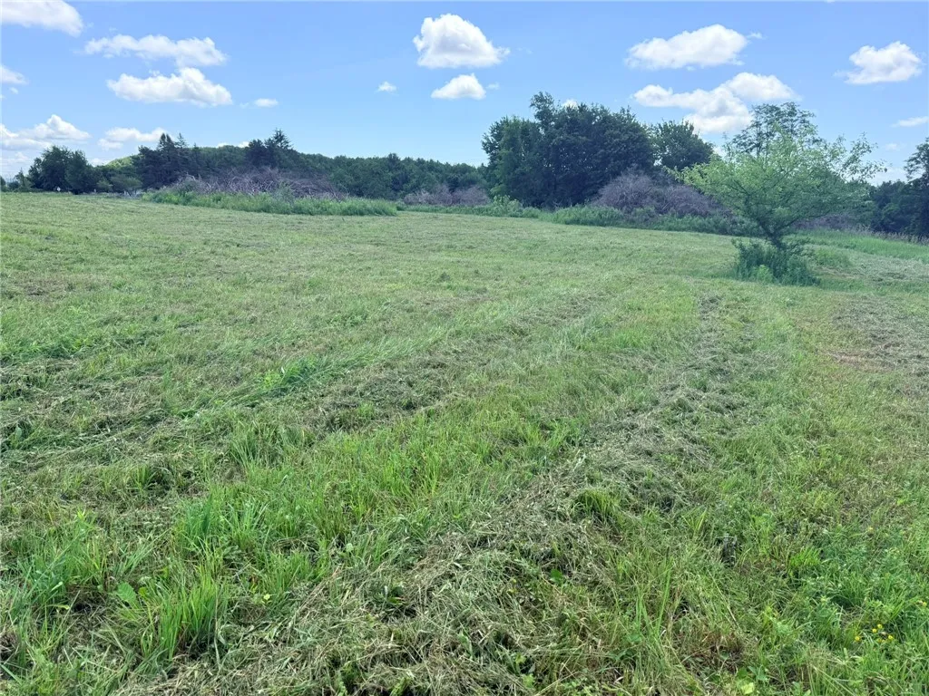 L17 North Pond Road, Guilford, New York 13780, Guilford, New York 13780, ,Land,For Sale,L17 North Pond Road, Guilford, New York 13780,0,R1697936