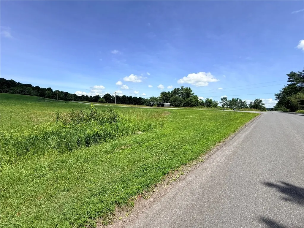 L17 North Pond Road, Guilford, New York 13780, Guilford, New York 13780, ,Land,For Sale,L17 North Pond Road, Guilford, New York 13780,0,R1697936
