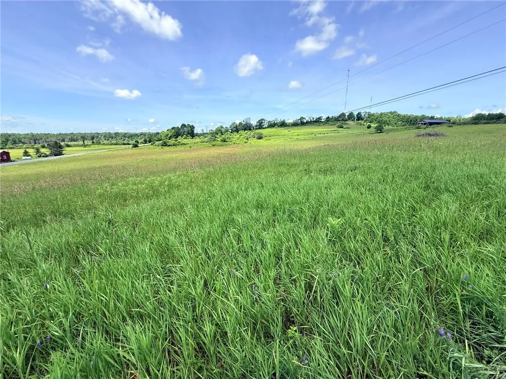 L17 North Pond Road, Guilford, New York 13780, Guilford, New York 13780, ,Land,For Sale,L17 North Pond Road, Guilford, New York 13780,0,R1697936