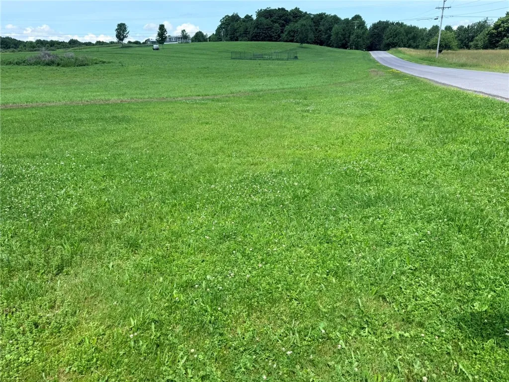 L17 North Pond Road, Guilford, New York 13780, Guilford, New York 13780, ,Land,For Sale,L17 North Pond Road, Guilford, New York 13780,0,R1697936