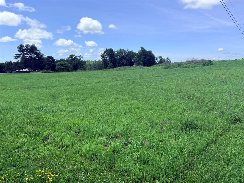 L17 North Pond Road, Guilford, New York 13780, Guilford, New York 13780, ,Land,For Sale,L17 North Pond Road, Guilford, New York 13780,0,R1697936