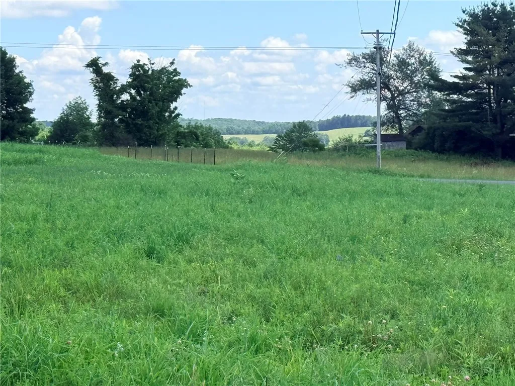 L17 North Pond Road, Guilford, New York 13780, Guilford, New York 13780, ,Land,For Sale,L17 North Pond Road, Guilford, New York 13780,0,R1697936