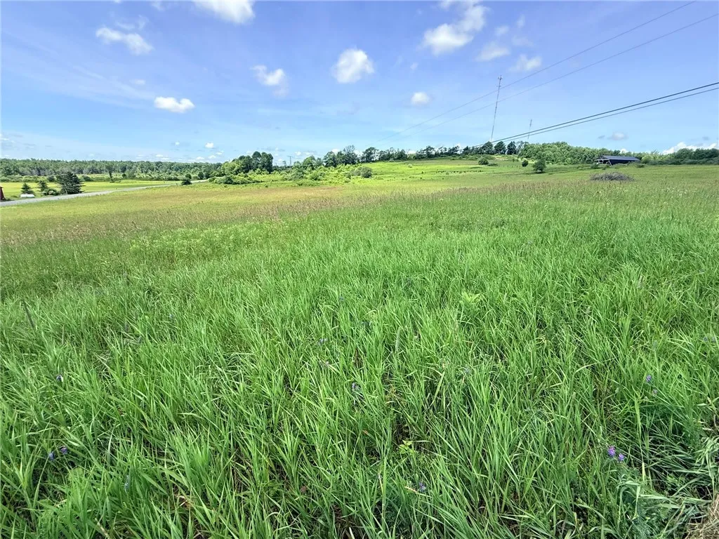 L17 North Pond Road, Guilford, New York 13780, Guilford, New York 13780, ,Land,For Sale,L17 North Pond Road, Guilford, New York 13780,0,R1697936