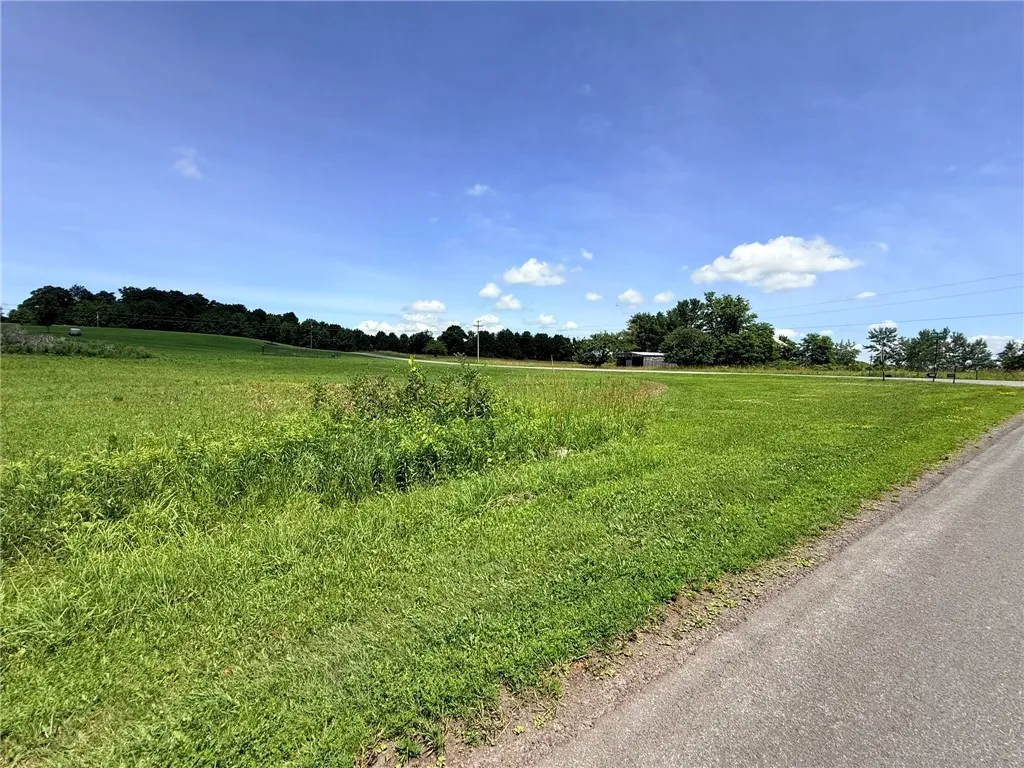 L17 North Pond Road, Guilford, New York 13780, Guilford, New York 13780, ,Land,For Sale,L17 North Pond Road, Guilford, New York 13780,0,R1697936