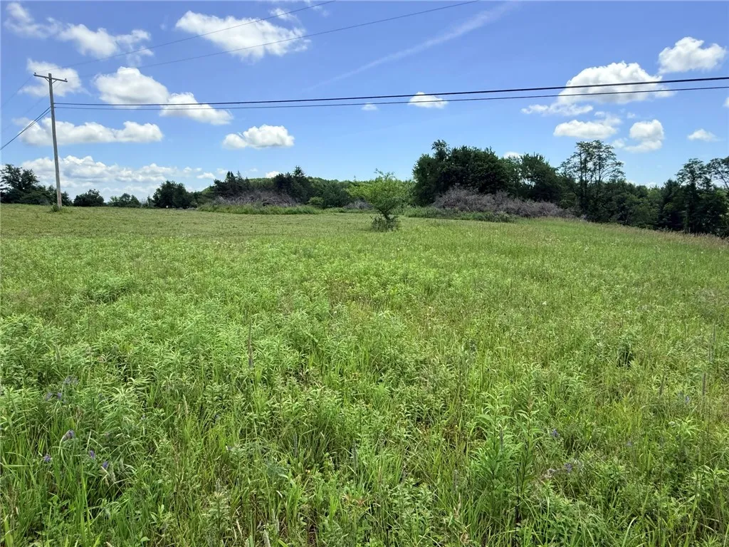 L17 North Pond Road, Guilford, New York 13780, Guilford, New York 13780, ,Land,For Sale,L17 North Pond Road, Guilford, New York 13780,0,R1697936