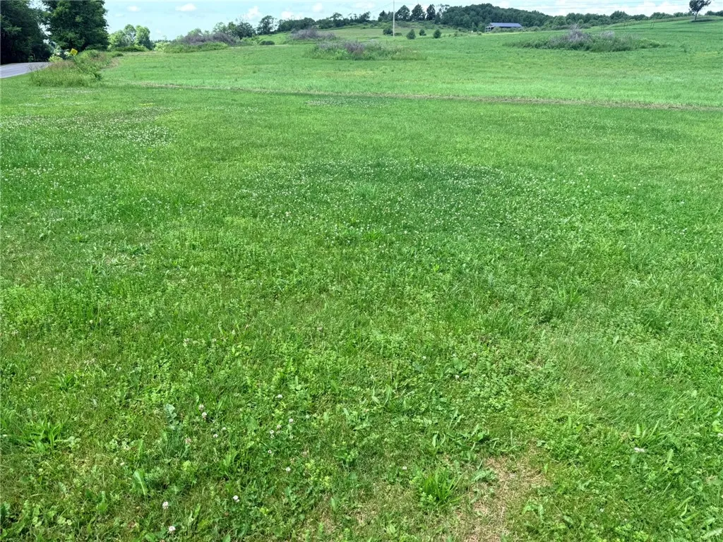 L17 North Pond Road, Guilford, New York 13780, Guilford, New York 13780, ,Land,For Sale,L17 North Pond Road, Guilford, New York 13780,0,R1697936