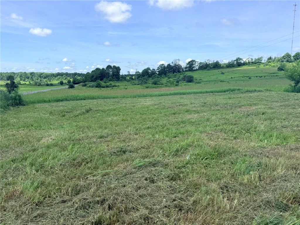 L17 North Pond Road, Guilford, New York 13780, Guilford, New York 13780, ,Land,For Sale,L17 North Pond Road, Guilford, New York 13780,0,R1697936