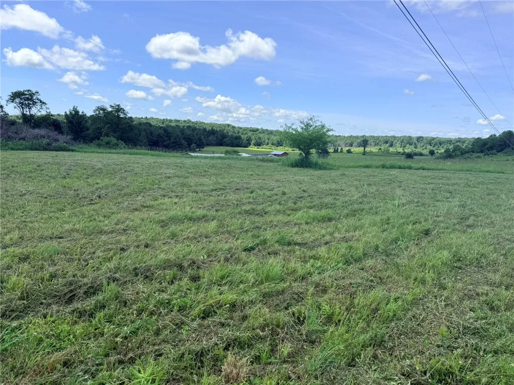L17 North Pond Road, Guilford, New York 13780, Guilford, New York 13780, ,Land,For Sale,L17 North Pond Road, Guilford, New York 13780,0,R1697936