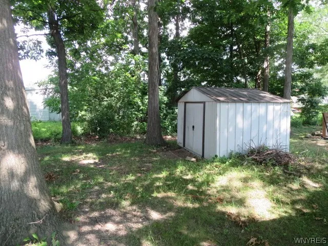 A treed back yard with a shed for all your outdoor tools & lawn mover etc.