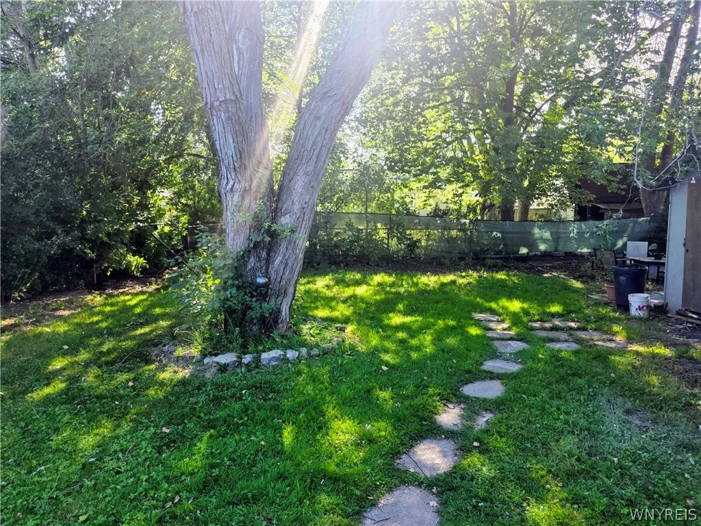 Fully fenced back yard