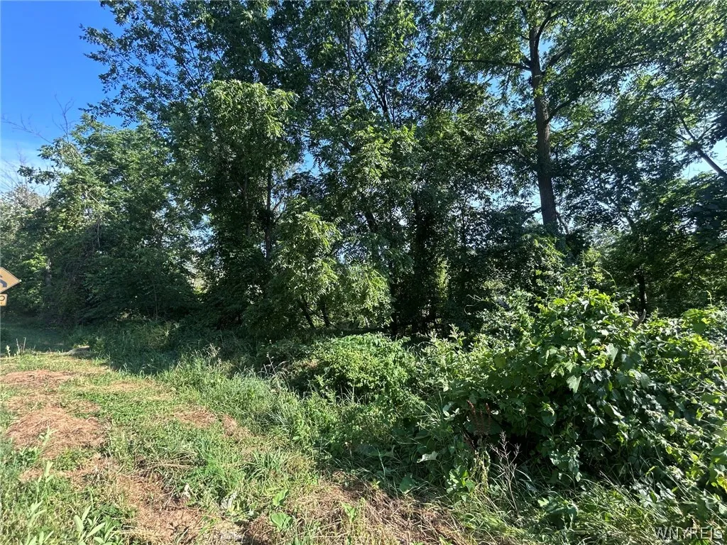 171 North Ellicott Creek Road, Amherst, New York 1, Amherst, New York 14228, ,Land,For Sale,171 North Ellicott Creek Road, Amherst, New York 1,0,B1698648