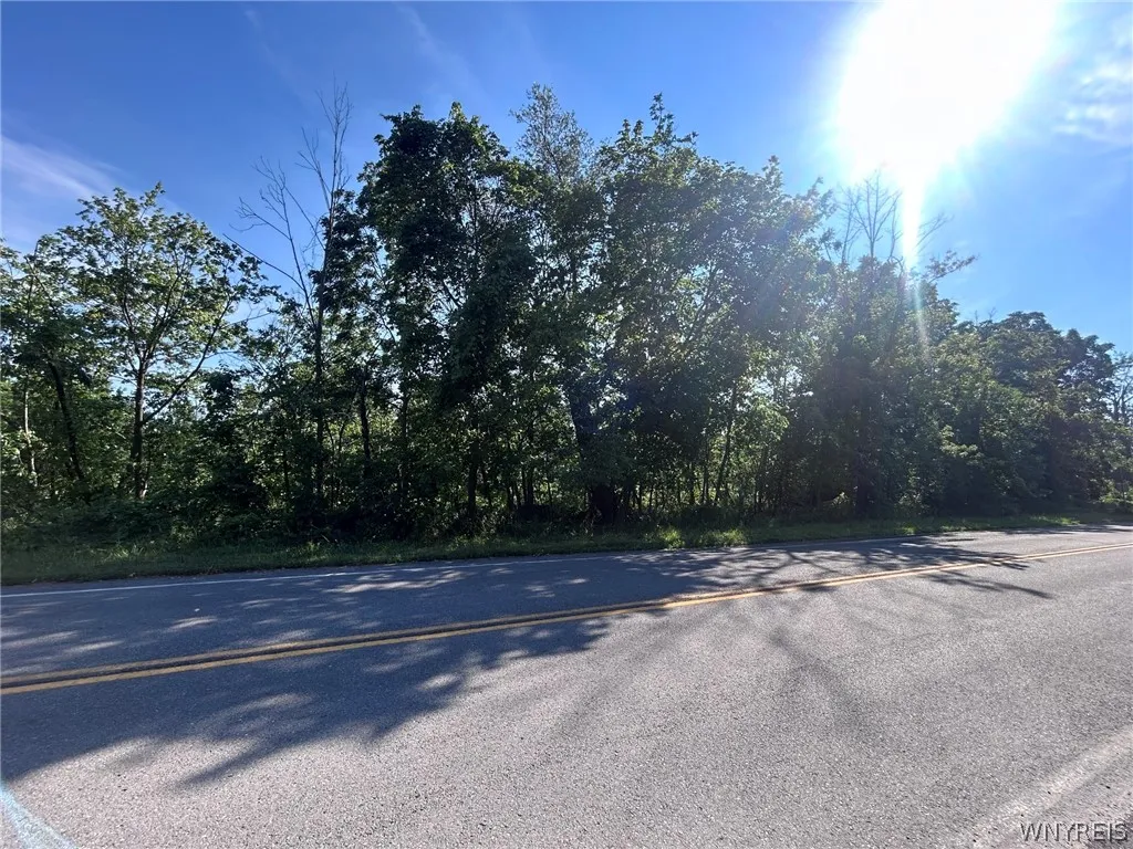 171 North Ellicott Creek Road, Amherst, New York 1, Amherst, New York 14228, ,Land,For Sale,171 North Ellicott Creek Road, Amherst, New York 1,0,B1698648
