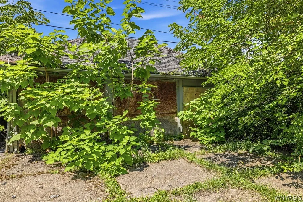 504 Woodlawn Avenue, Buffalo, New York 14208, Buffalo, New York 14208, 6 Bedrooms Bedrooms, ,2 BathroomsBathrooms,Residential,For Sale,504 Woodlawn Avenue, Buffalo, New York 14208,0,B1698846