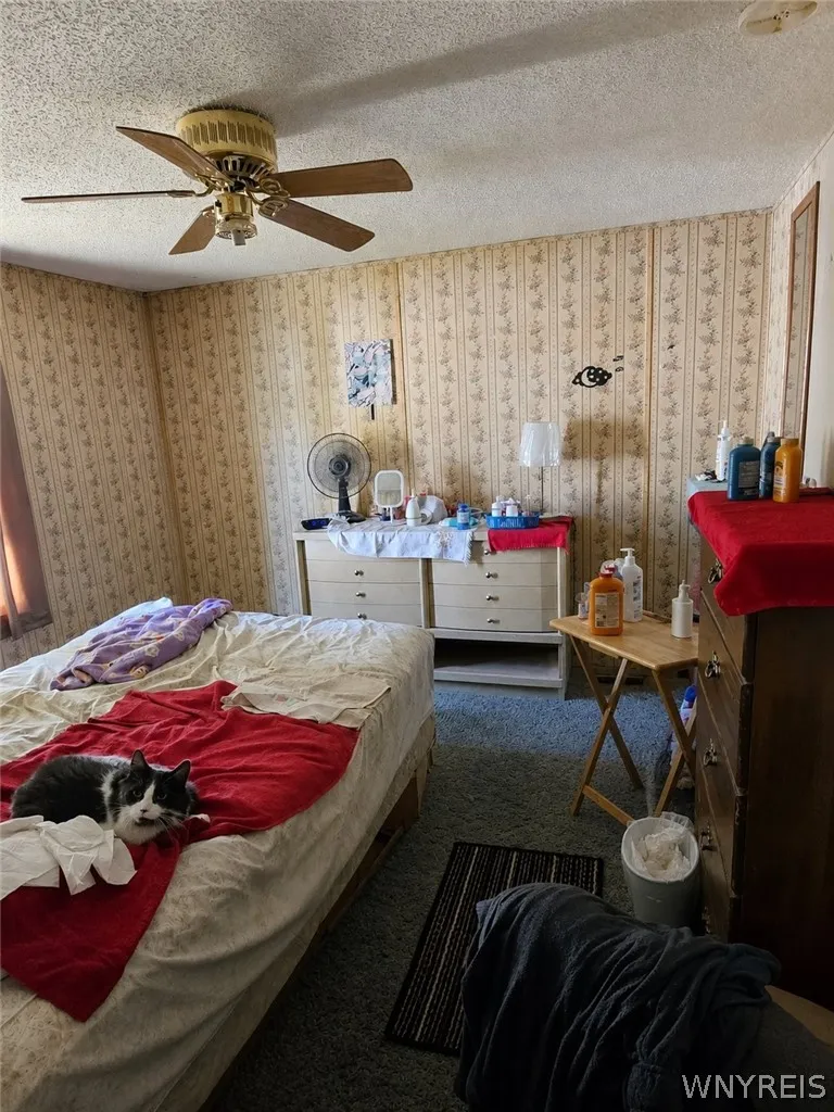 7898 Boston State Road 23, Hamburg, New York 14075, Hamburg, New York 14075, 3 Bedrooms Bedrooms, 5 Rooms Rooms,1 BathroomBathrooms,Residential,For Sale,7898 Boston State Road 23, Hamburg, New York 14075,0,B1698958