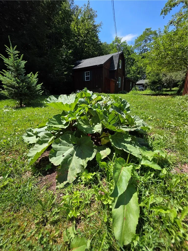 219 Lulu Coon Road, Butternuts, New York 13849, Butternuts, New York 13849, 1 Bedroom Bedrooms, 5 Rooms Rooms,1 BathroomBathrooms,Residential,For Sale,219 Lulu Coon Road, Butternuts, New York 13849,0,R1689463