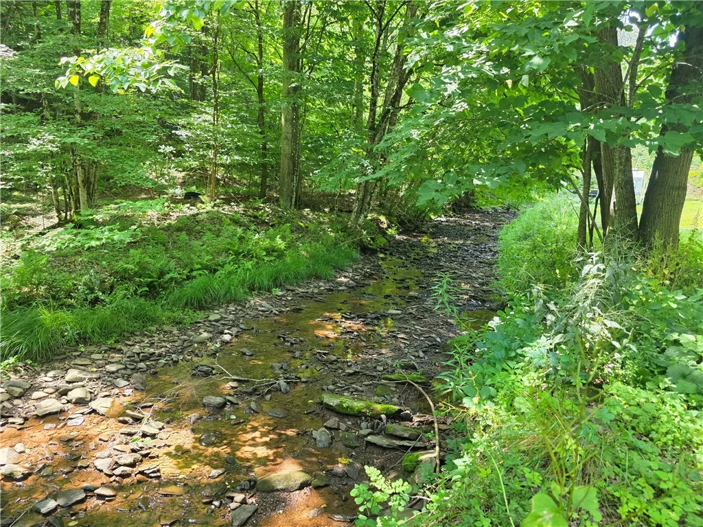 219 Lulu Coon Road, Butternuts, New York 13849, Butternuts, New York 13849, 1 Bedroom Bedrooms, 5 Rooms Rooms,1 BathroomBathrooms,Residential,For Sale,219 Lulu Coon Road, Butternuts, New York 13849,0,R1689463