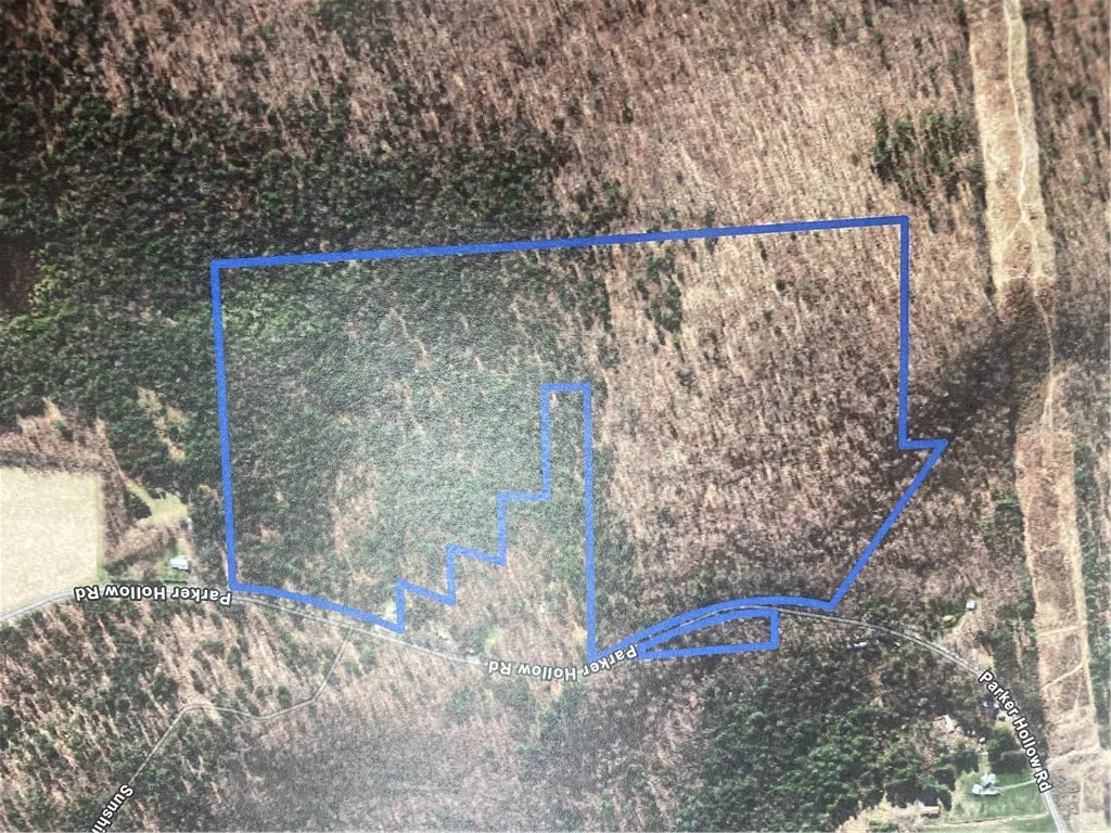 Parker Hollow Road, Sidney, New York 13838, Sidney, New York 13838, ,Land,For Sale,Parker Hollow Road, Sidney, New York 13838,0,R1697356