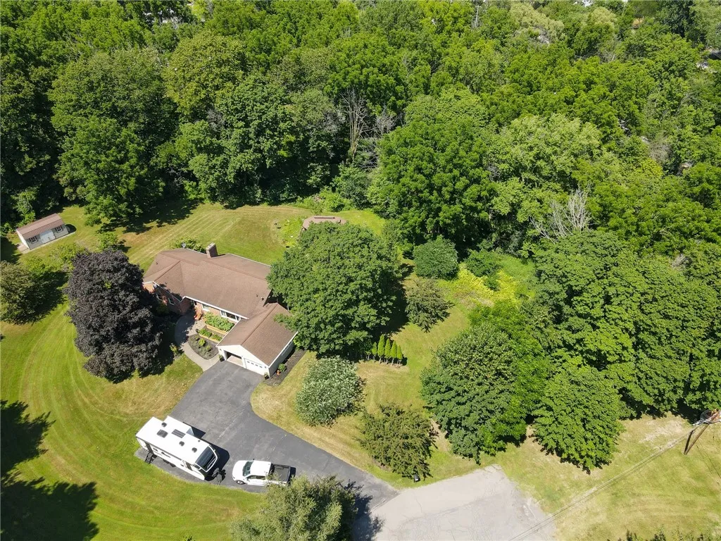 aerial