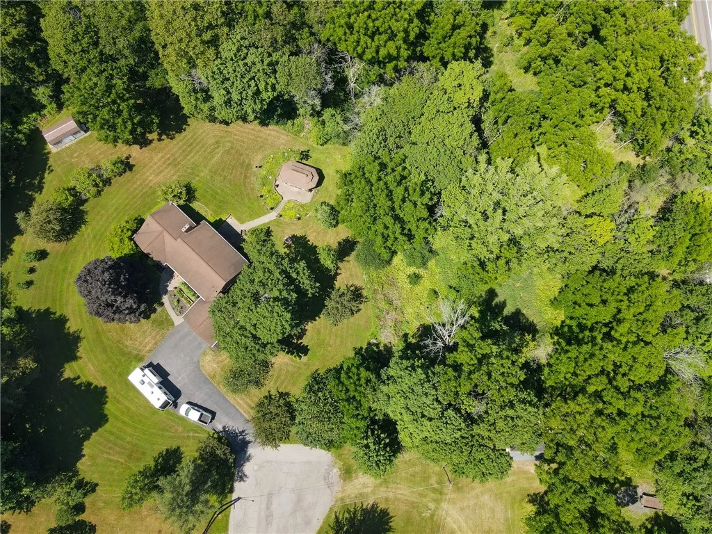 aerial