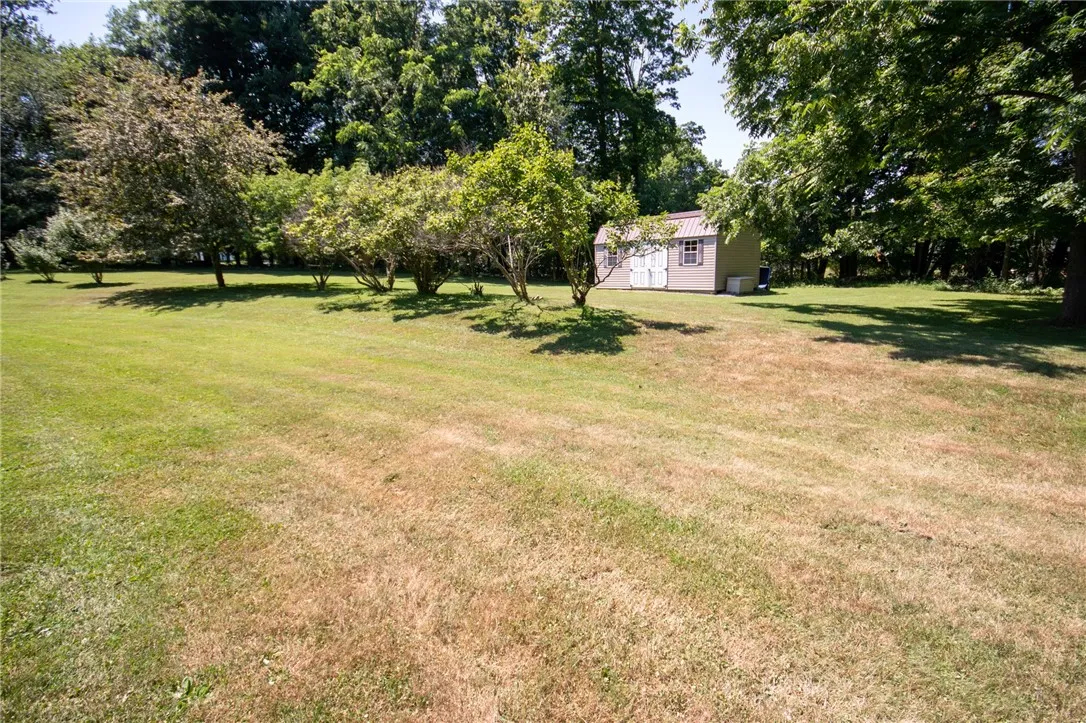 backyard with shed