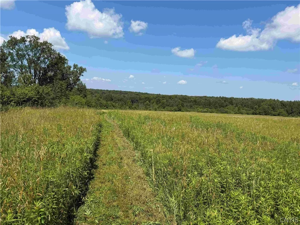 2771 Route 76, Sherman, New York 14781, Sherman, New York 14781, 2 Bedrooms Bedrooms, 6 Rooms Rooms,1 BathroomBathrooms,Residential,For Sale,2771 Route 76, Sherman, New York 14781,0,S1699074