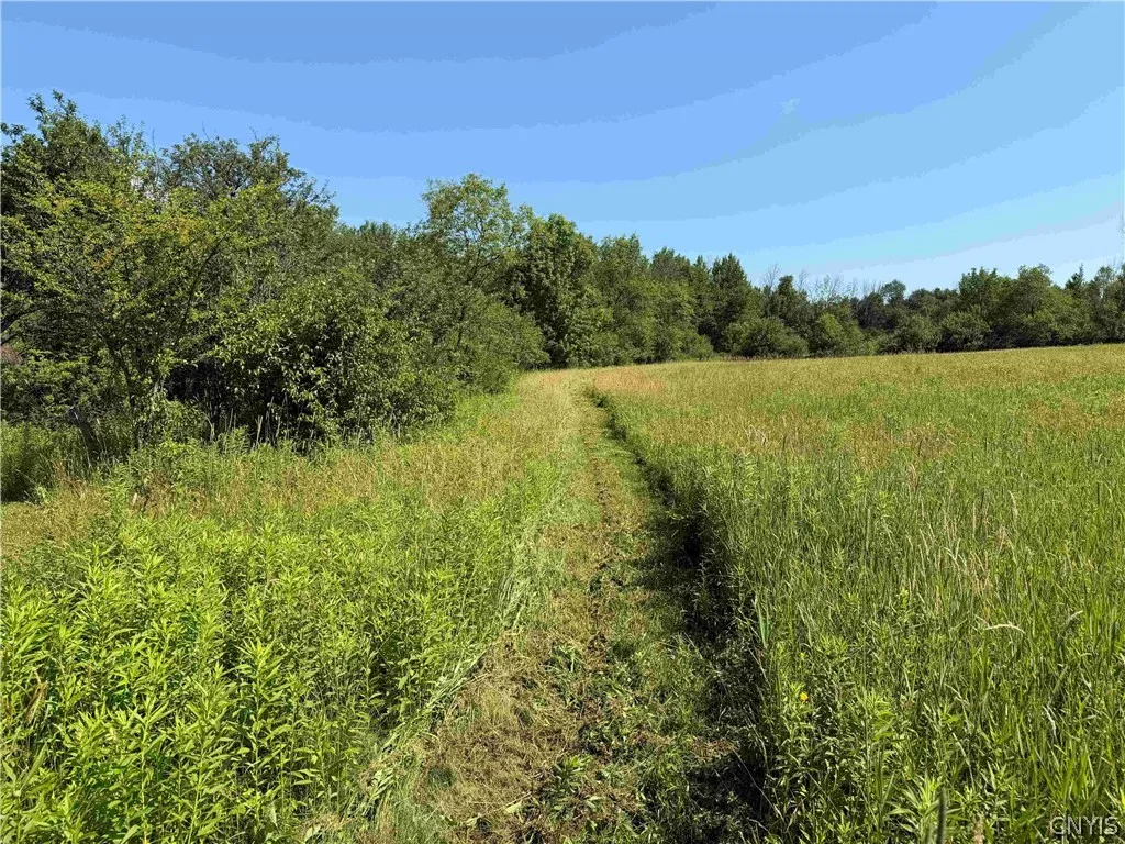 2771 Route 76, Sherman, New York 14781, Sherman, New York 14781, 2 Bedrooms Bedrooms, 6 Rooms Rooms,1 BathroomBathrooms,Residential,For Sale,2771 Route 76, Sherman, New York 14781,0,S1699074