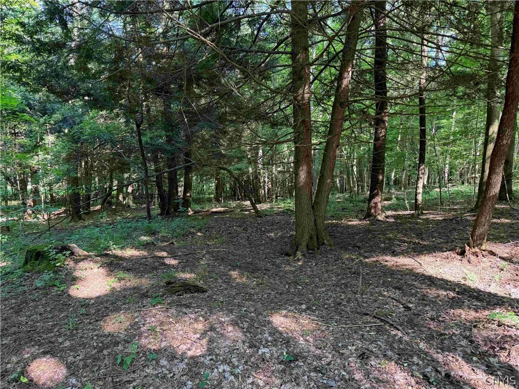 2771 Route 76, Sherman, New York 14781, Sherman, New York 14781, 2 Bedrooms Bedrooms, 6 Rooms Rooms,1 BathroomBathrooms,Residential,For Sale,2771 Route 76, Sherman, New York 14781,0,S1699074
