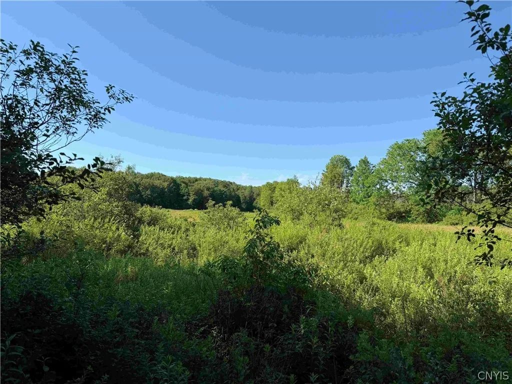 2771 Route 76, Sherman, New York 14781, Sherman, New York 14781, 2 Bedrooms Bedrooms, 6 Rooms Rooms,1 BathroomBathrooms,Residential,For Sale,2771 Route 76, Sherman, New York 14781,0,S1699074