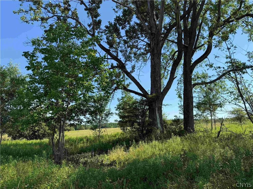 2771 Route 76, Sherman, New York 14781, Sherman, New York 14781, 2 Bedrooms Bedrooms, 6 Rooms Rooms,1 BathroomBathrooms,Residential,For Sale,2771 Route 76, Sherman, New York 14781,0,S1699074