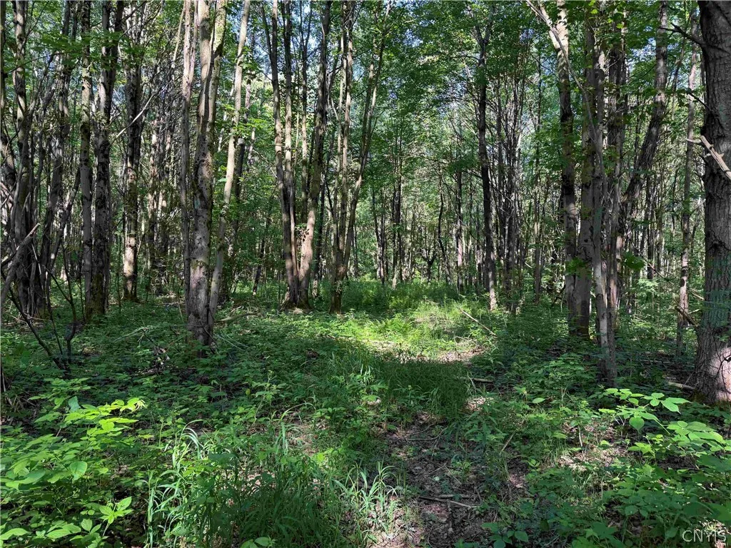 2771 Route 76, Sherman, New York 14781, Sherman, New York 14781, 2 Bedrooms Bedrooms, 6 Rooms Rooms,1 BathroomBathrooms,Residential,For Sale,2771 Route 76, Sherman, New York 14781,0,S1699074